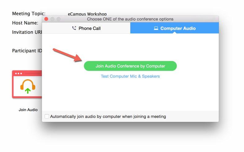 Zoom join audio panel