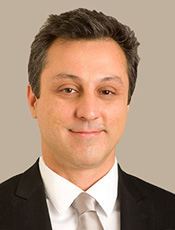 Professor Sotoudeh Hamedi-Hagh