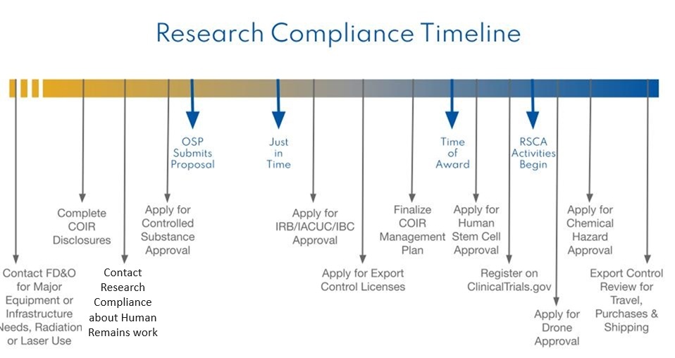 Research compliance timeline diagram